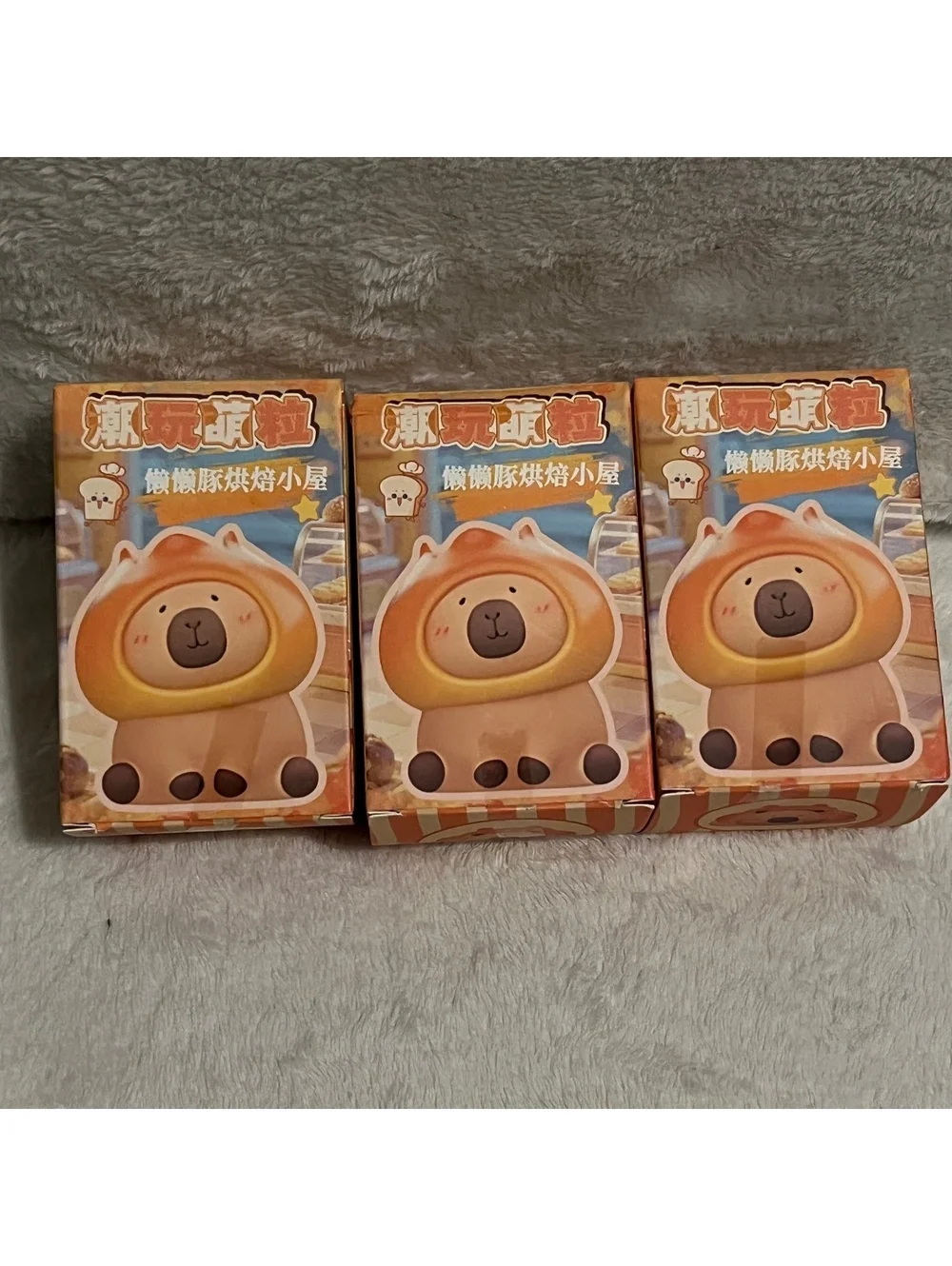 Costume Capybara Blind Boxes (3)